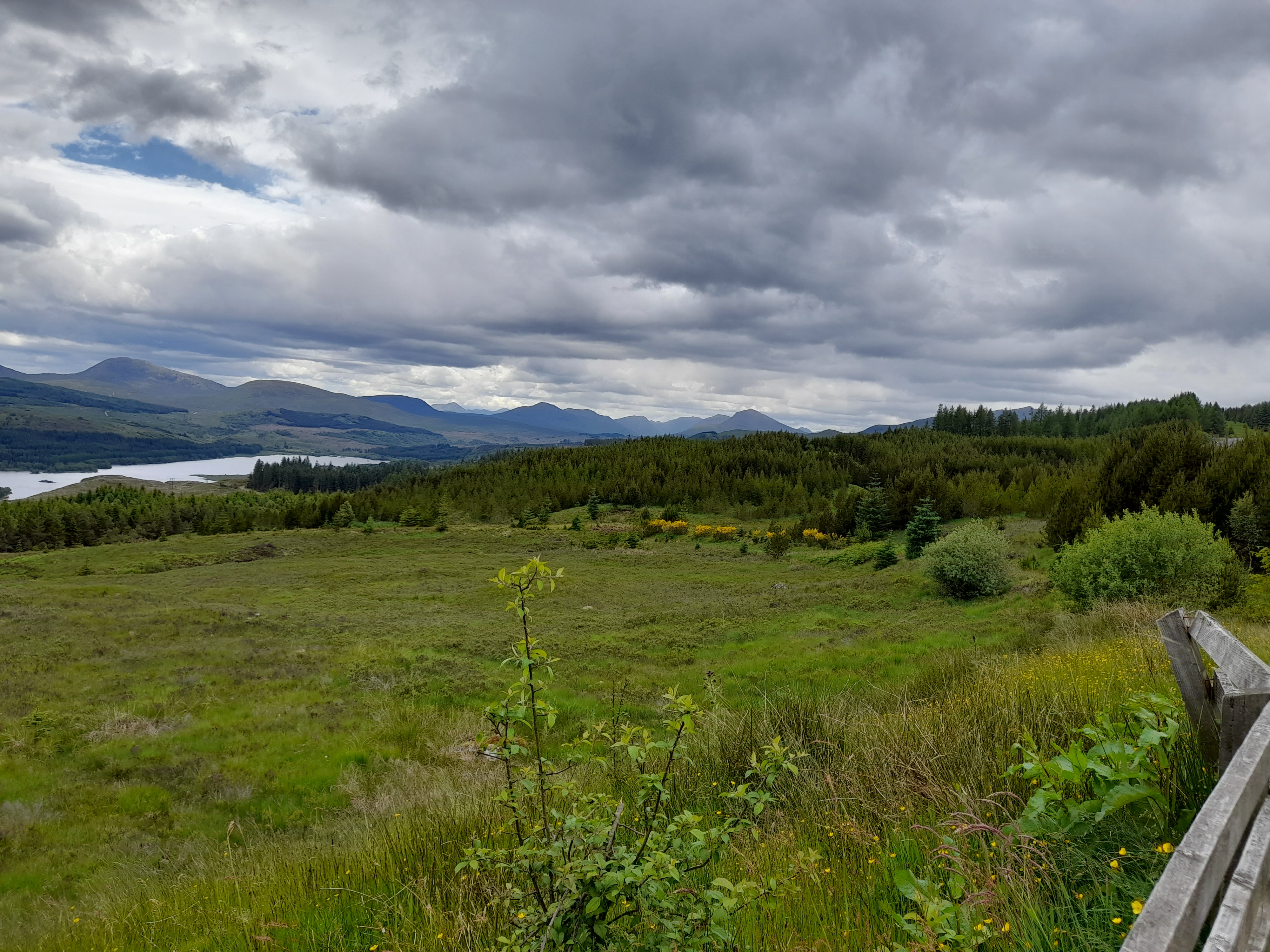 Scotland_June_2021 019.jpg