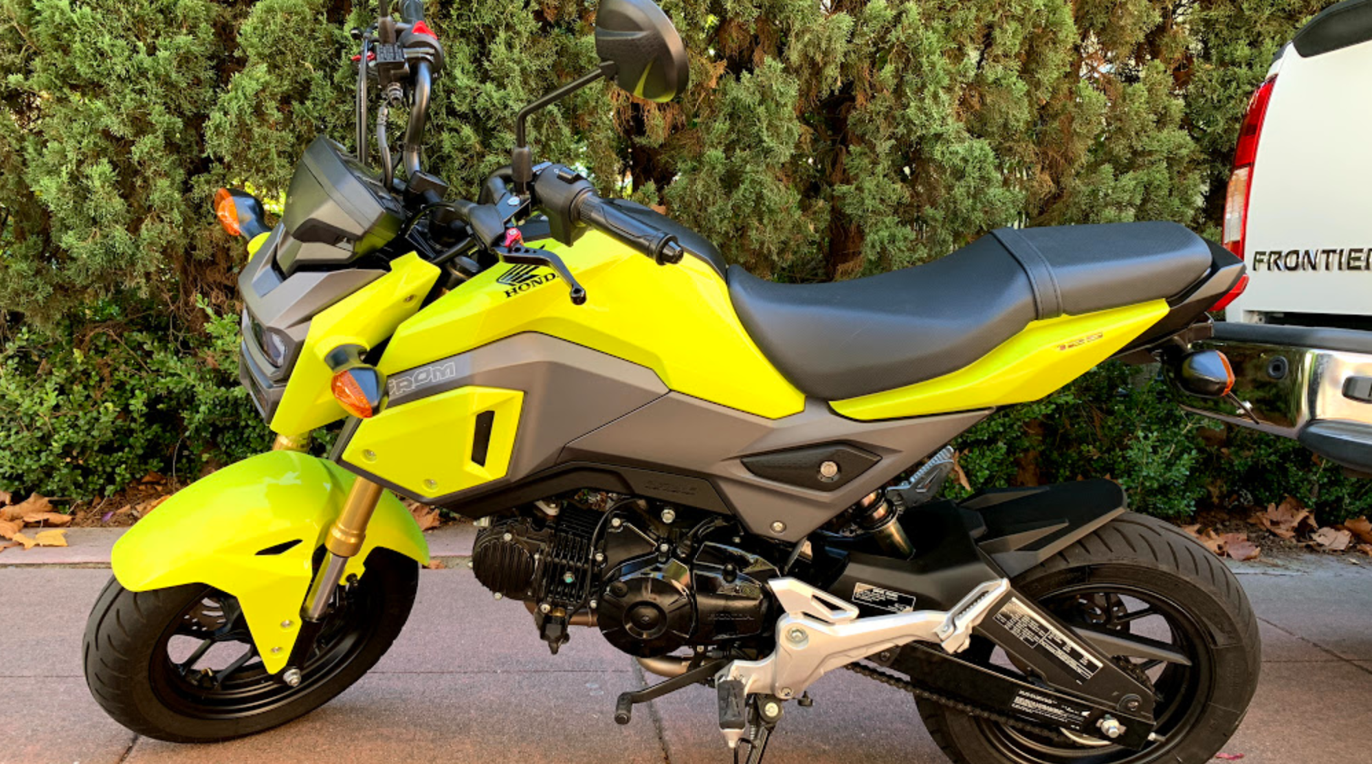 Screen Shot 2018-12-18 at 8.08.22 AM.png