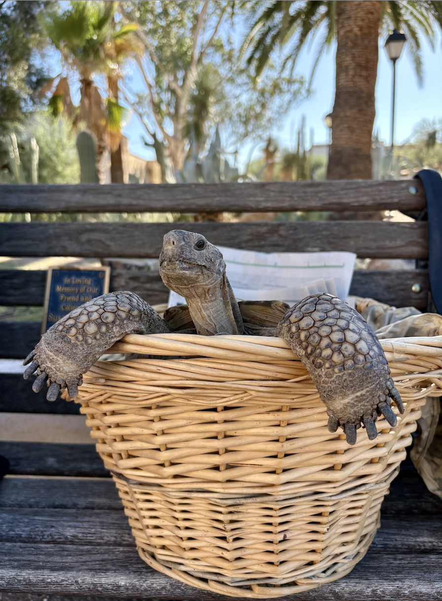 Screenshot 2025-10-06 at 9.22.47 PM.png