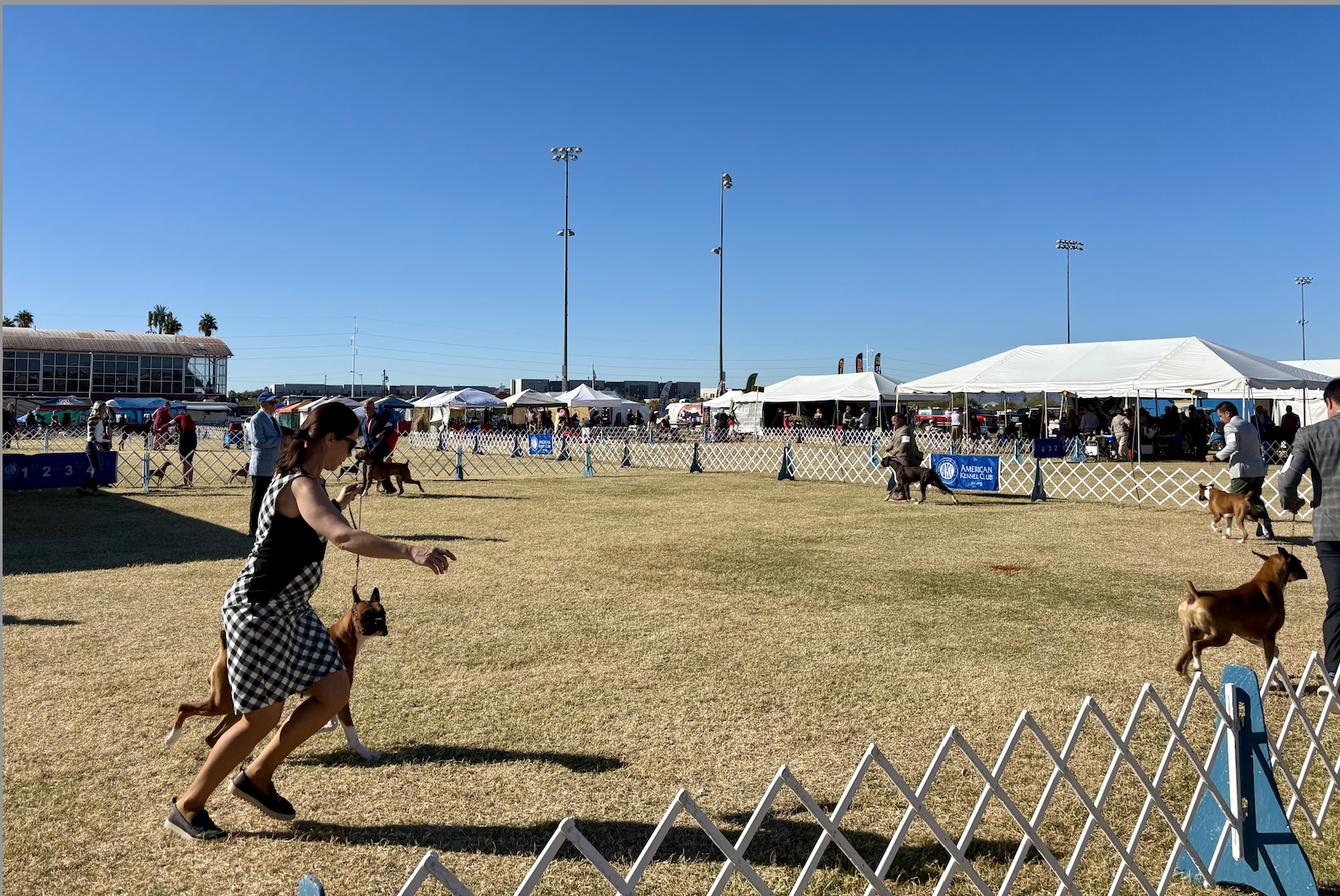 Screenshot 2025-11-11 at 11.13.52 AM.png