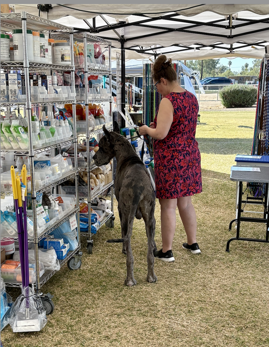 Screenshot 2025-11-11 at 11.16.47 AM.png