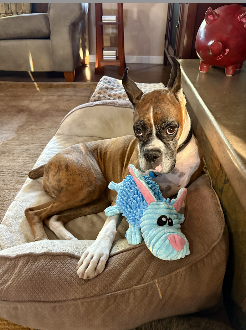 Screenshot 2025-11-11 at 11.21.18 AM.png