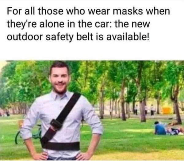 seat belts.jpg