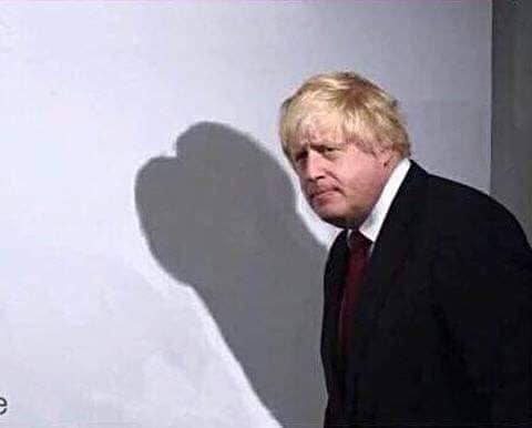 shadow.jpg