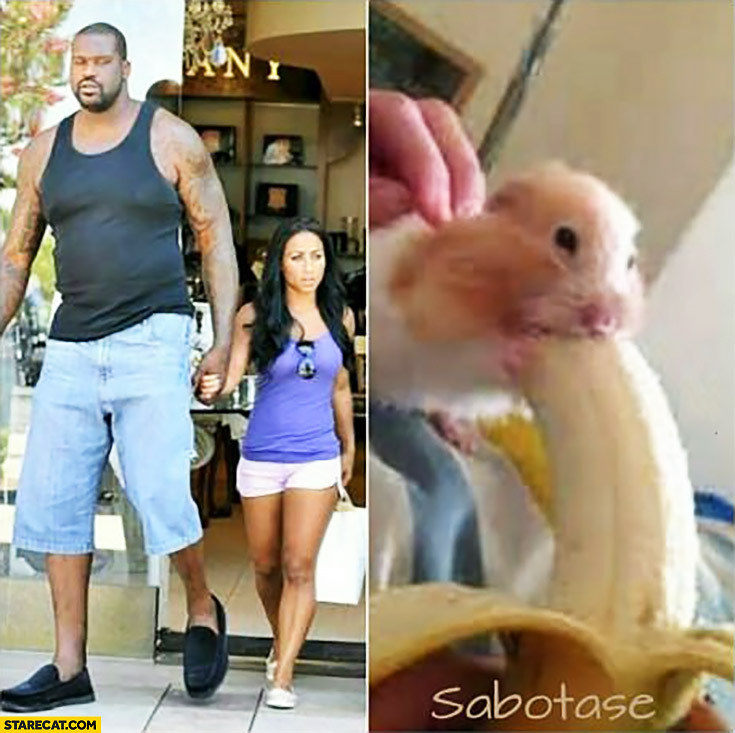 shaq-oneal-with-his-small-tiny-girlfriend-like-a-hamster-eating-huge-banana.jpg
