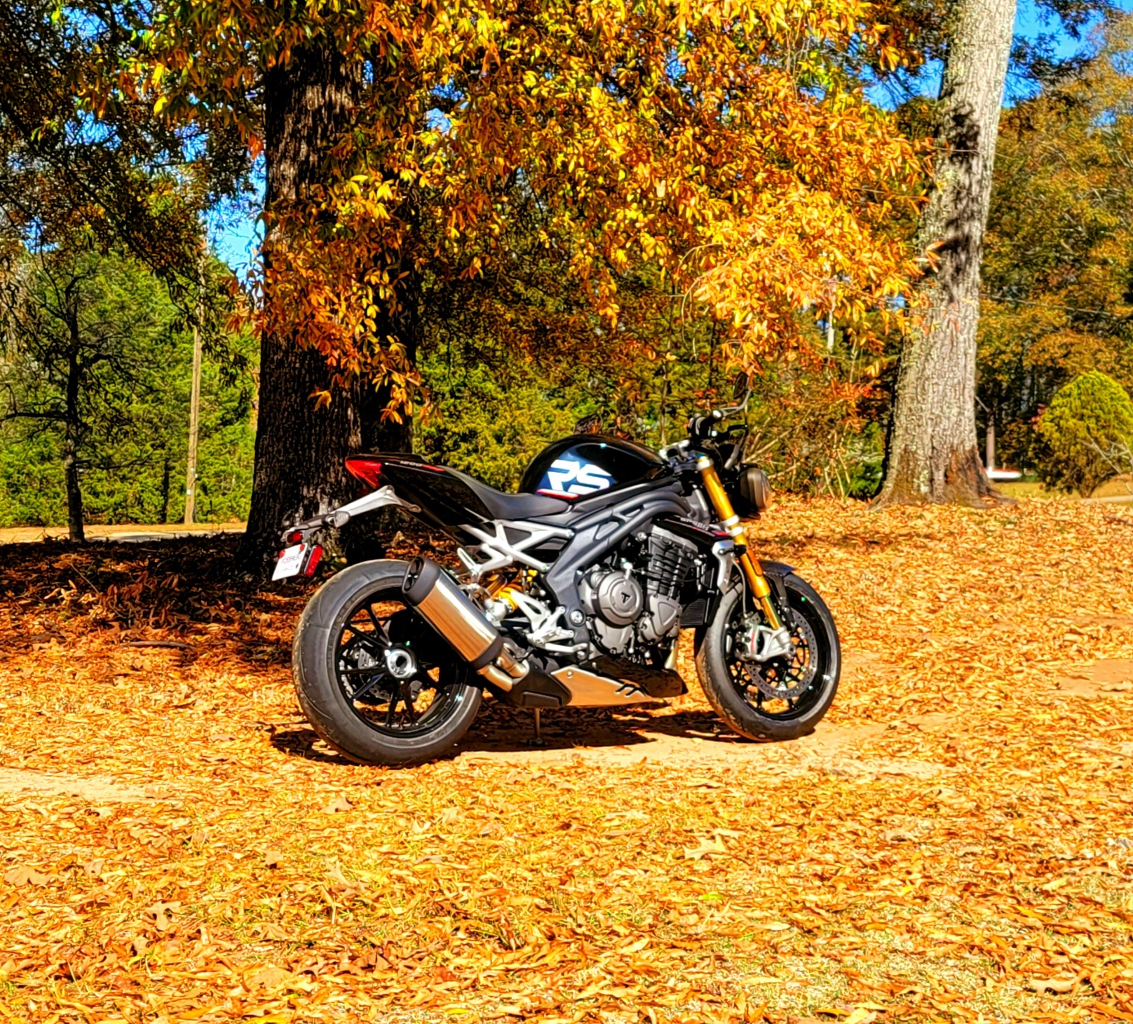 Speed Triple.jpg