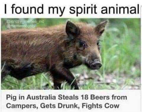 spirit animal.jpg