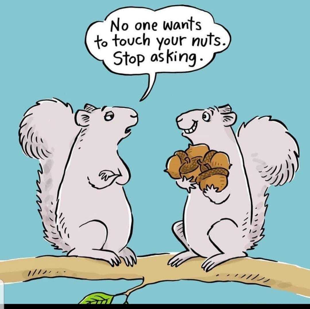 squirrels nuts.jpg