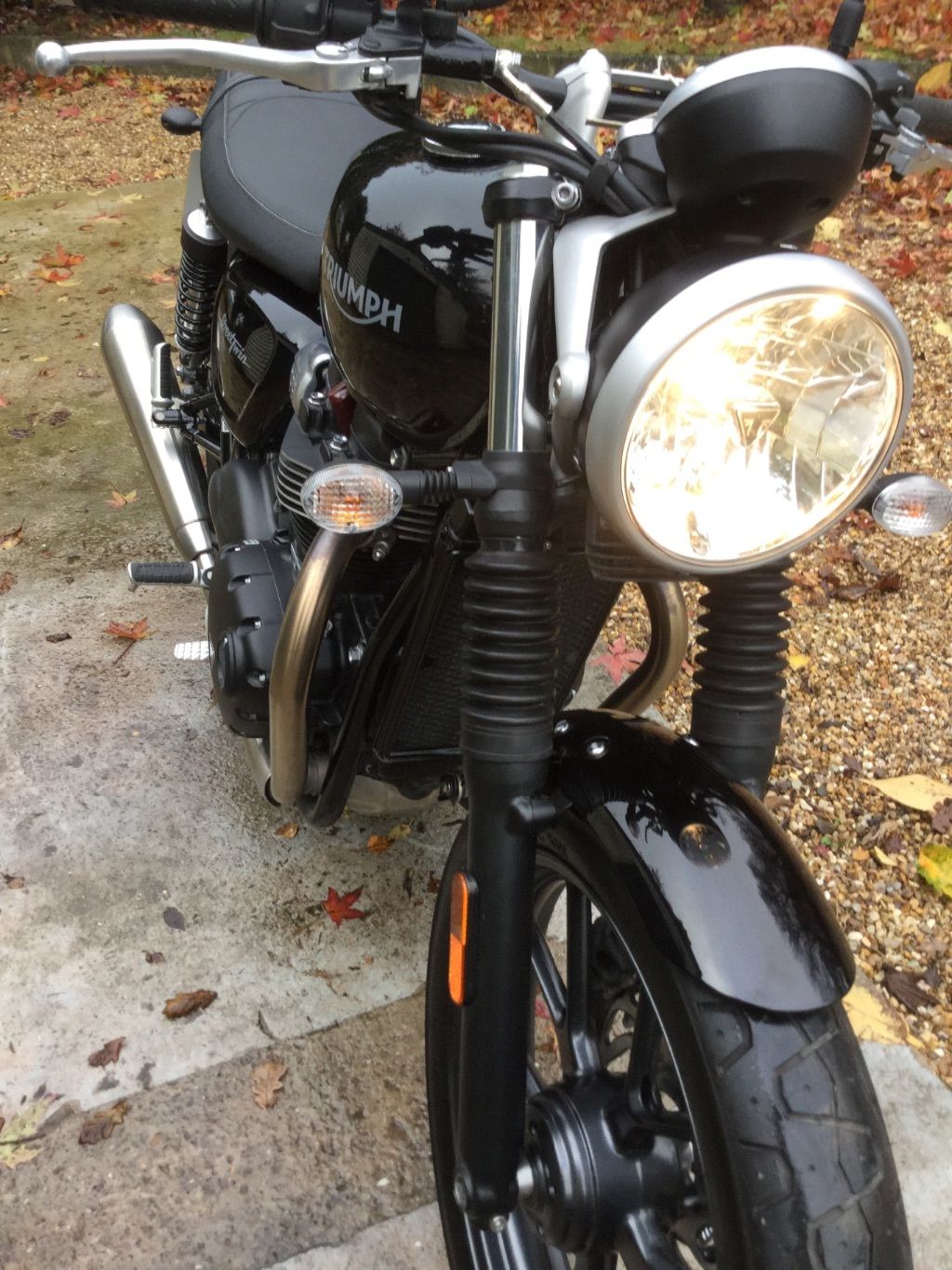 Street Twin 6.jpg