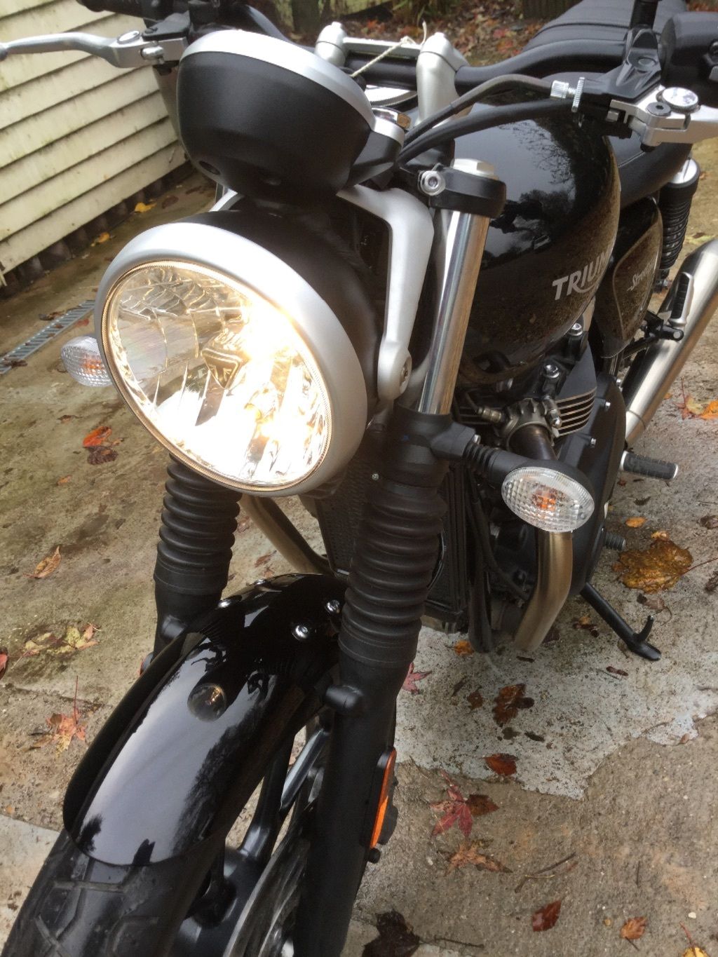Street Twin 7.jpg