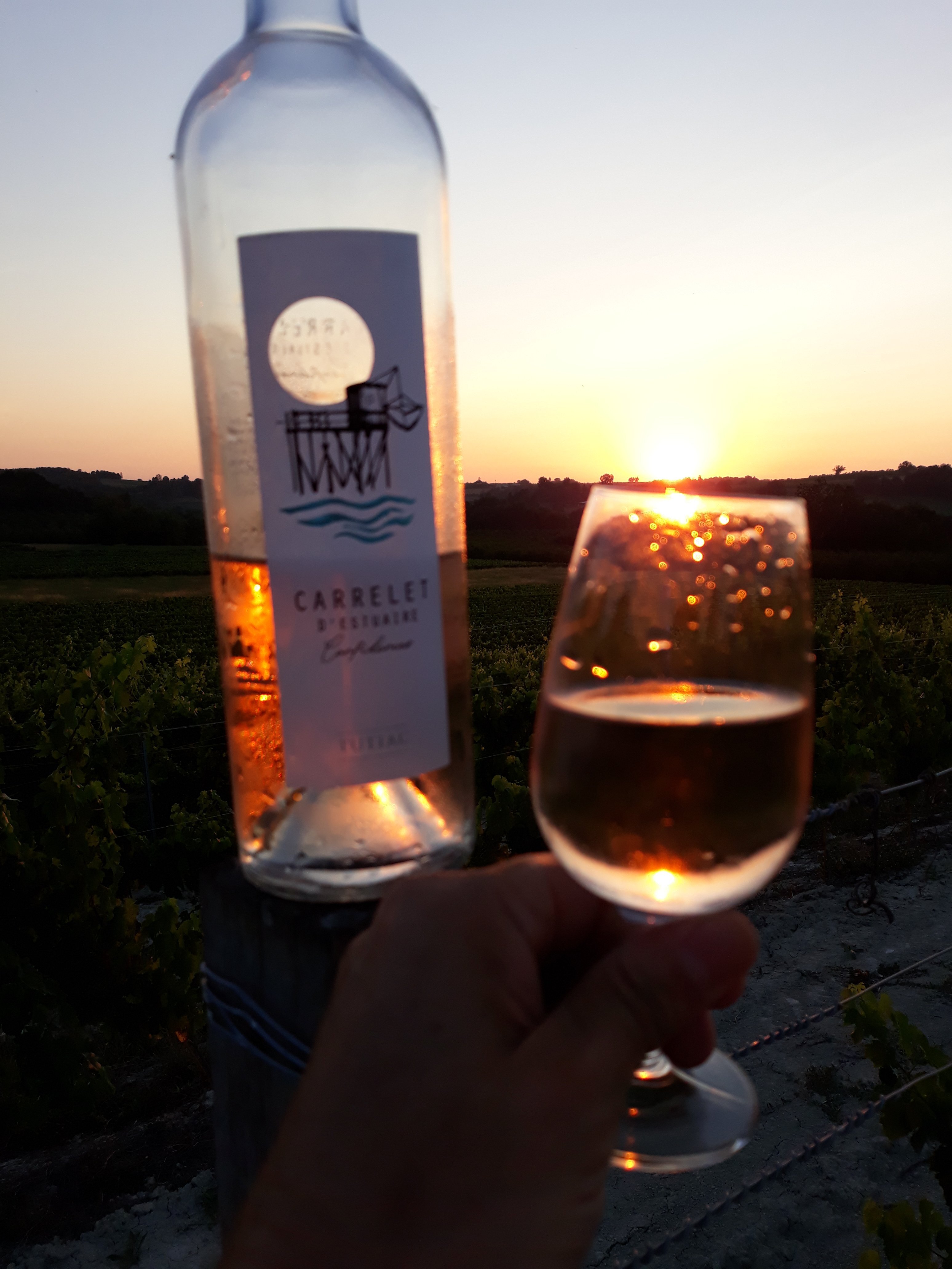 Sunset wine.jpg
