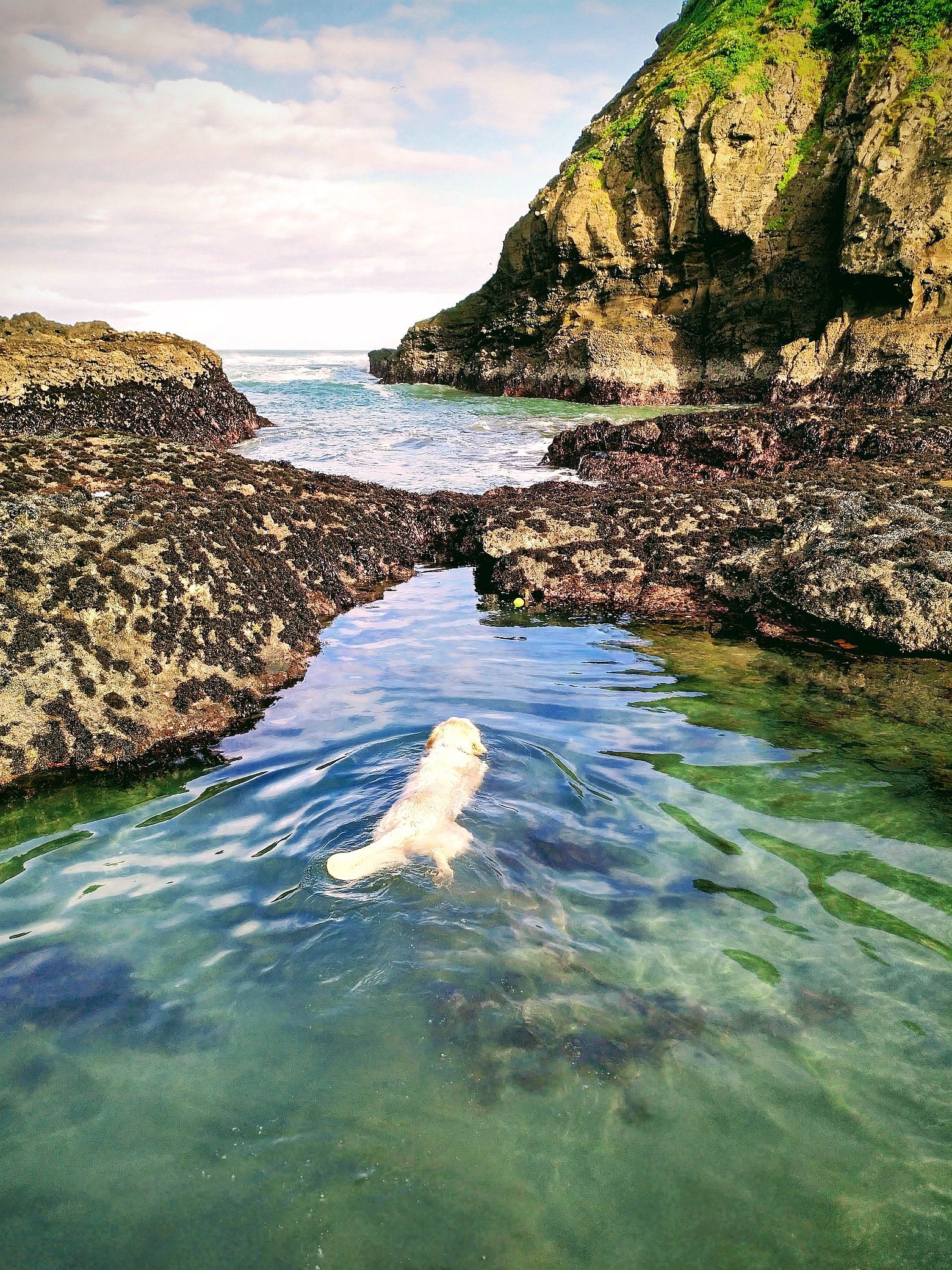 swimming hole 1.jpg