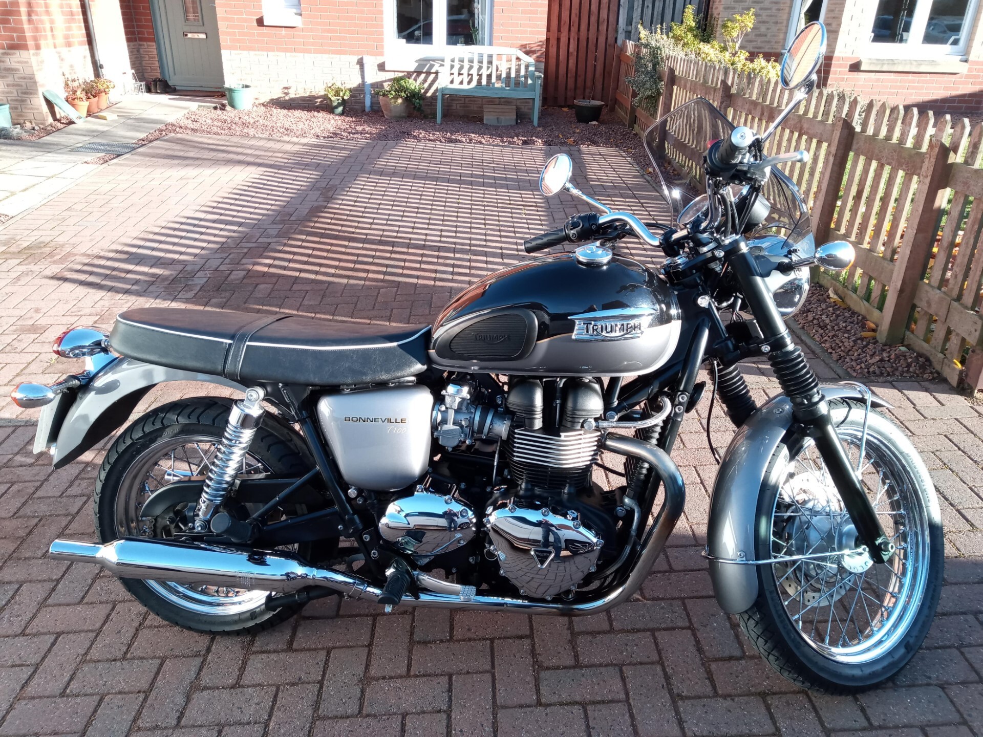 T100#2.jpg