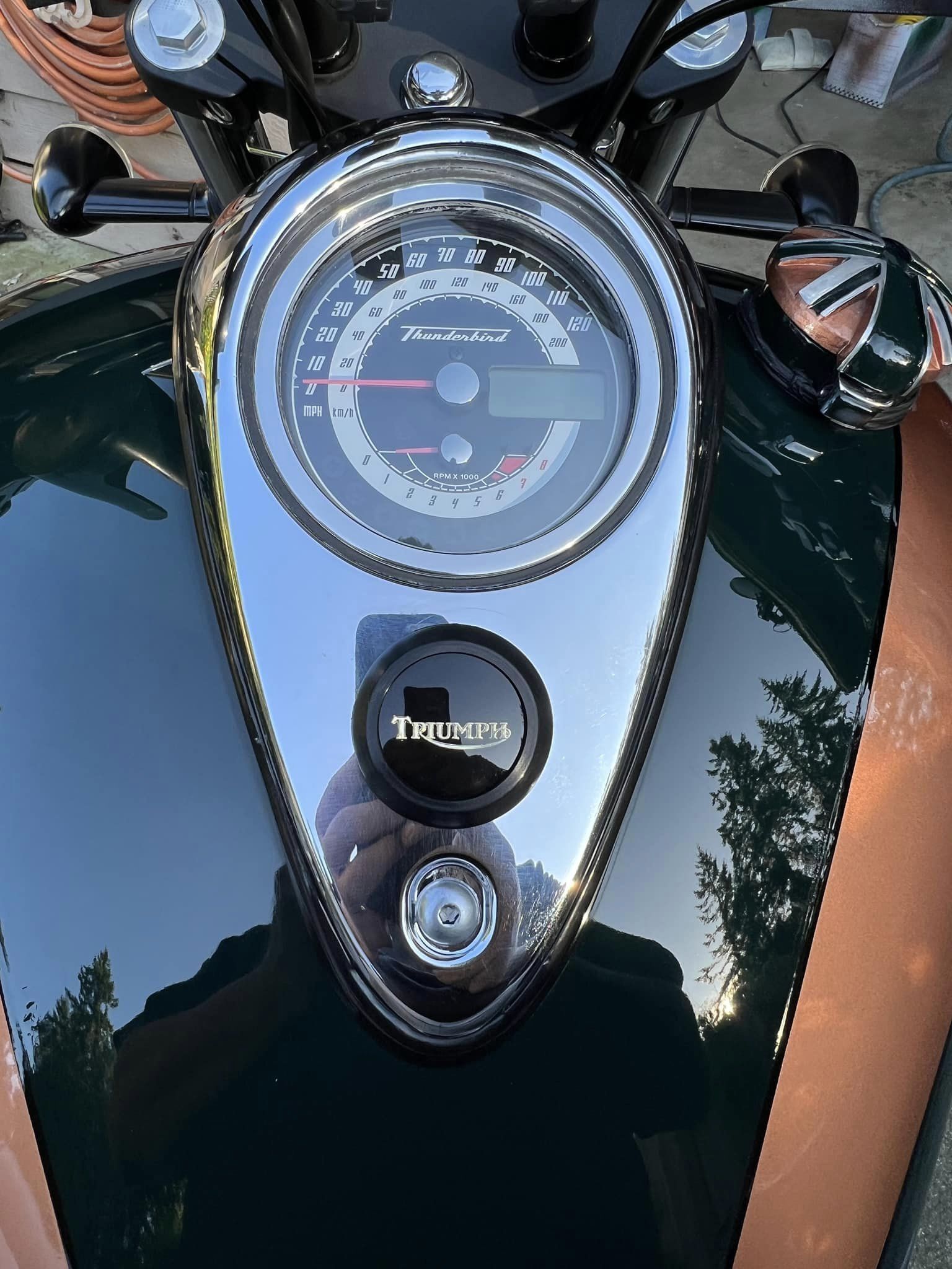 tank topper.jpg