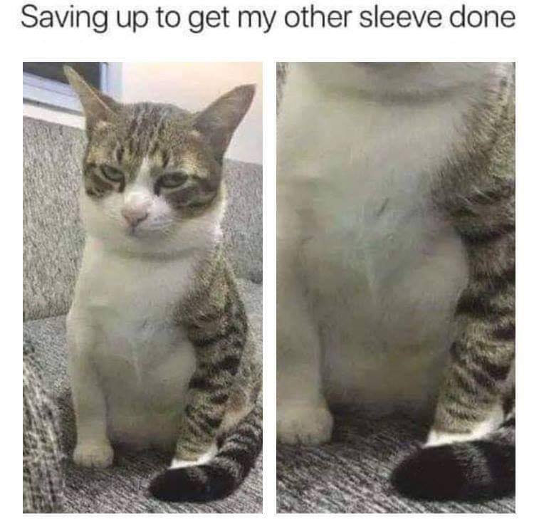 tat1.jpg