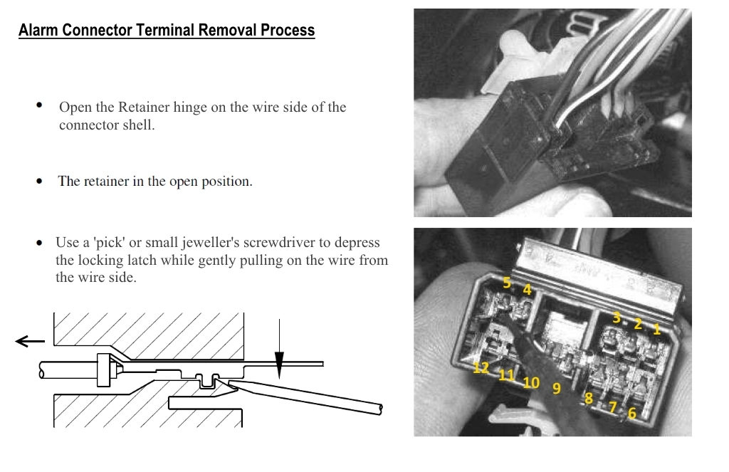 term_removal.jpg