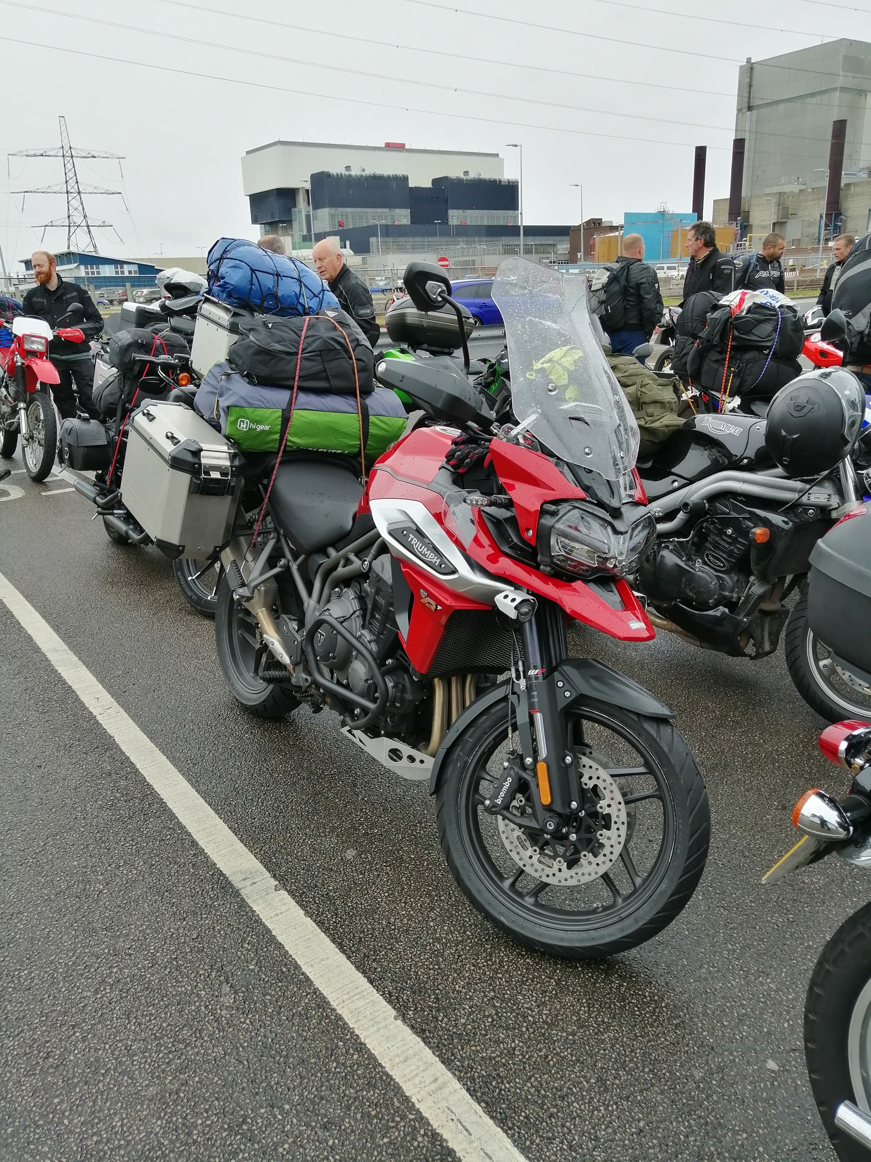 Tiger on the docks.jpg