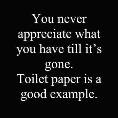 Toilet paper.gif