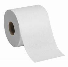 toilet roll.jpg