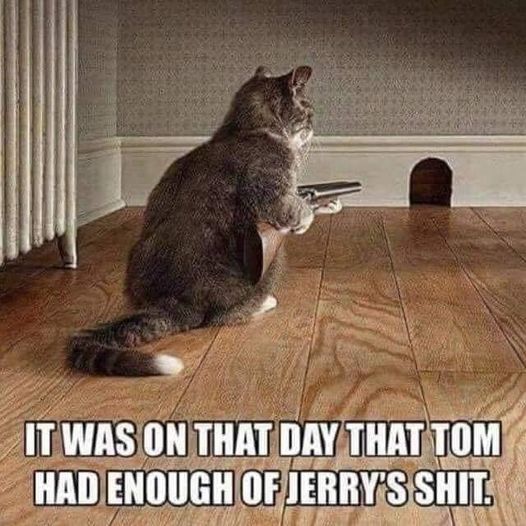 tom jerry.jpg