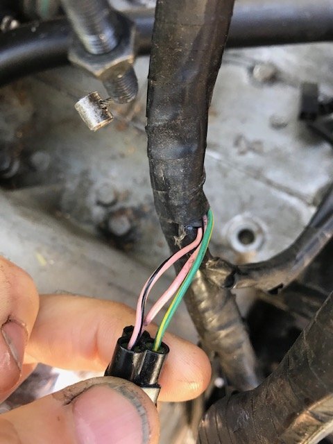 tps plug smaller.jpg