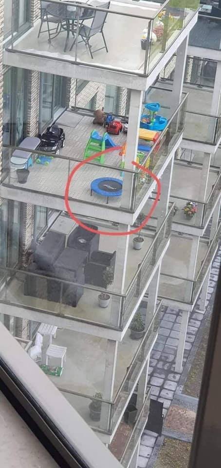 trampoline.jpg