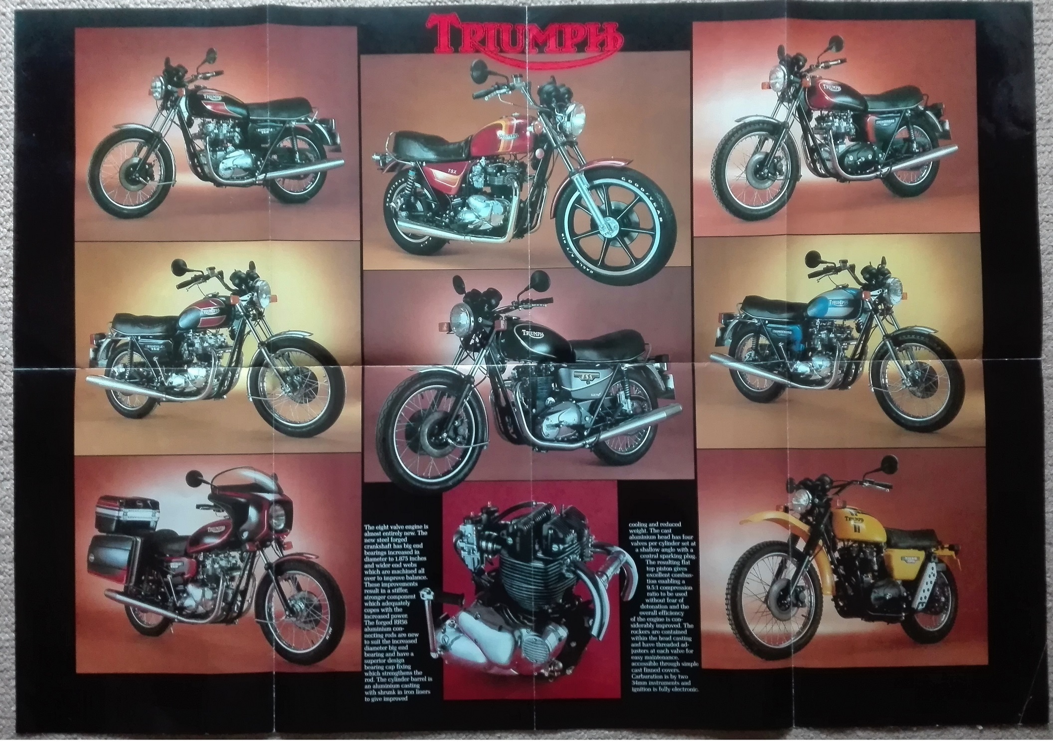 triumph brochure 1983 p1 - Copy.jpg