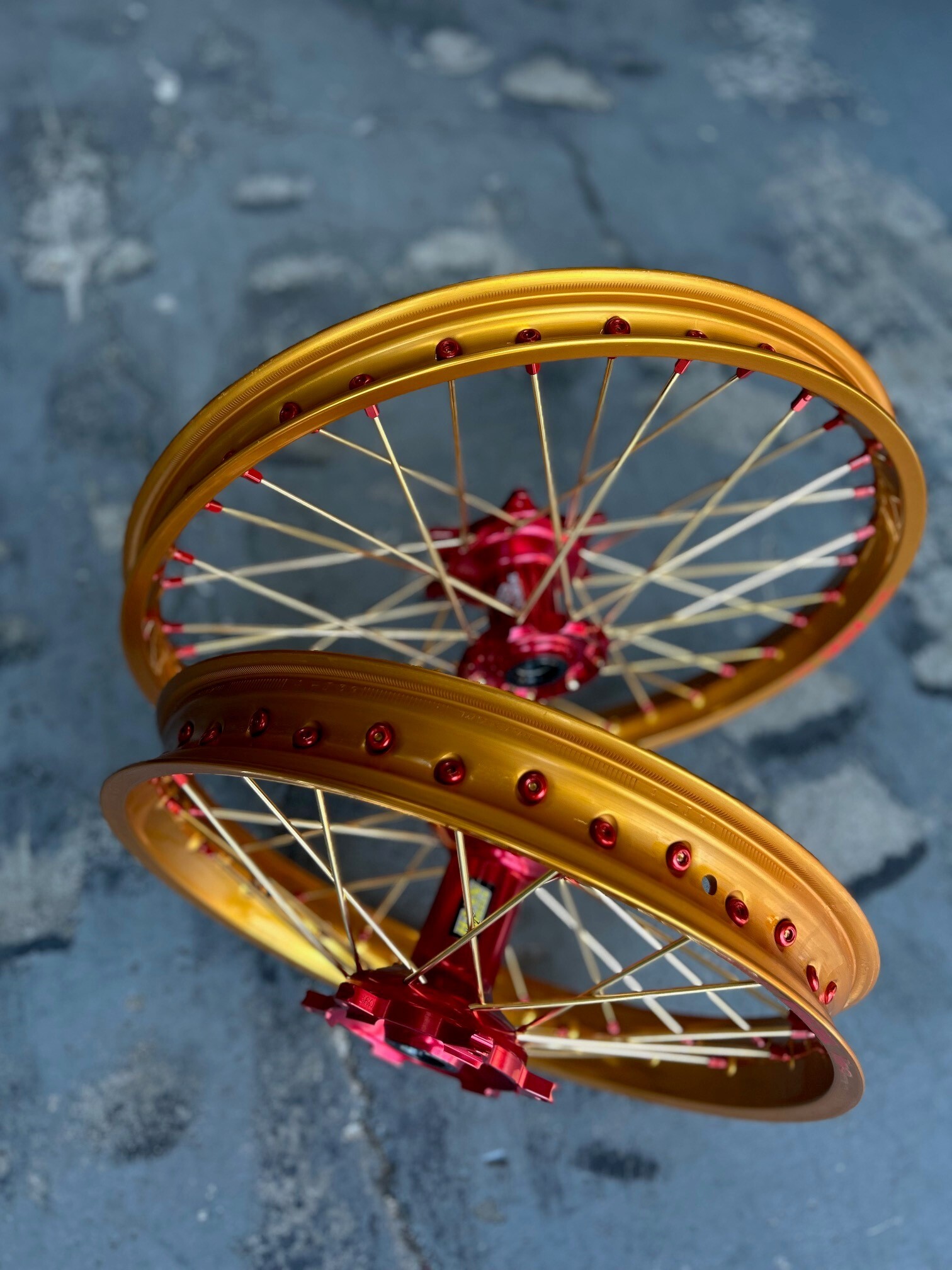 Triumph TF 450 Gold Red.jpg