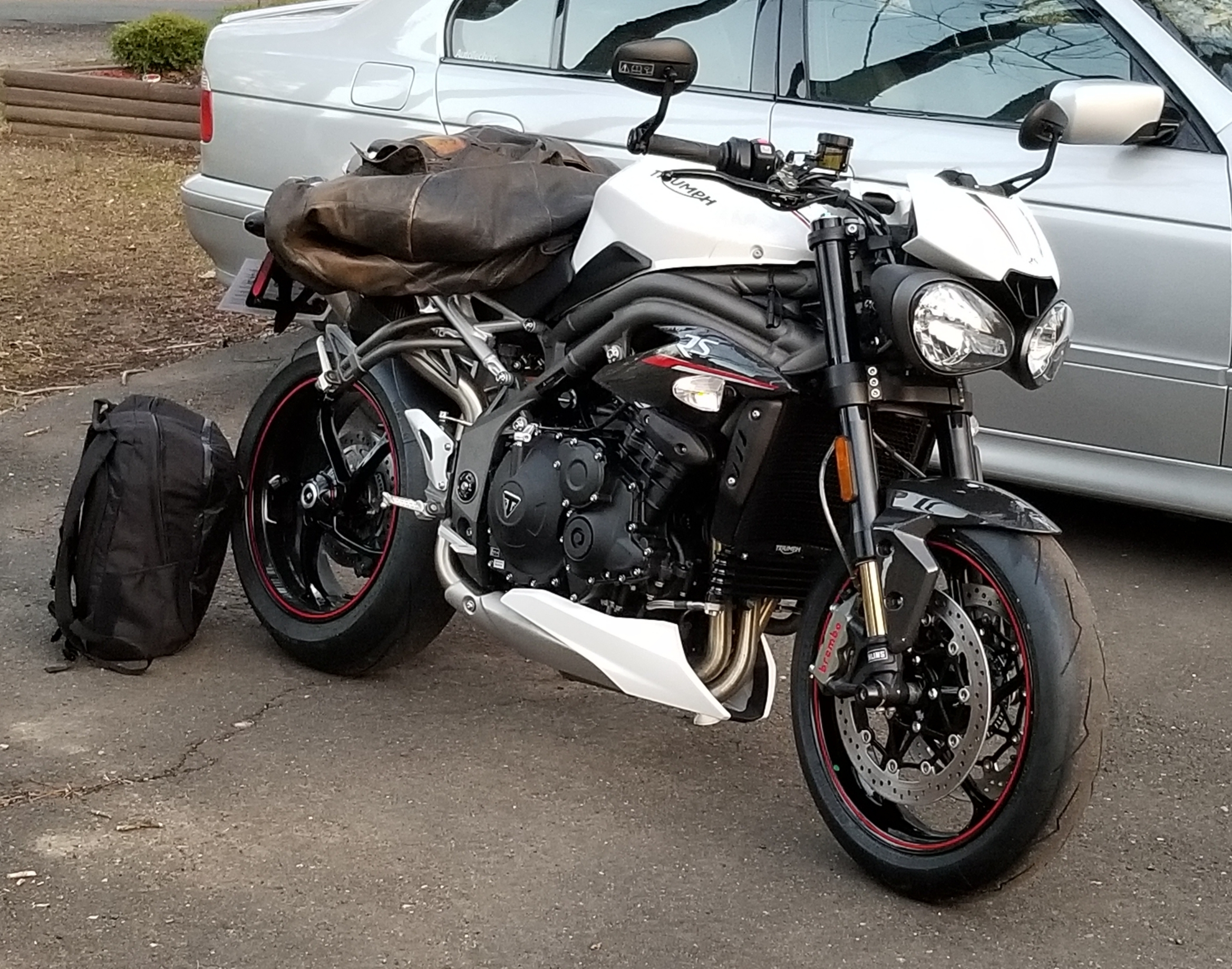 triumphspeedtriple1.jpg