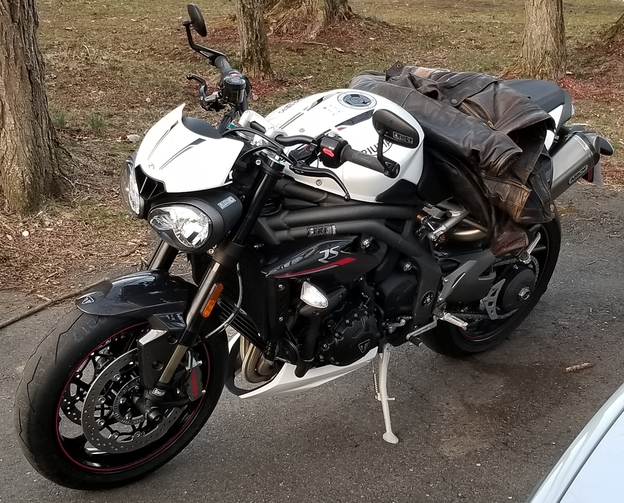 triumphspeedtriple2.jpg
