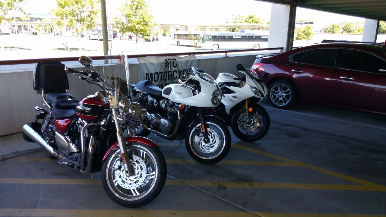 TriumphsRule (1280x720).jpg