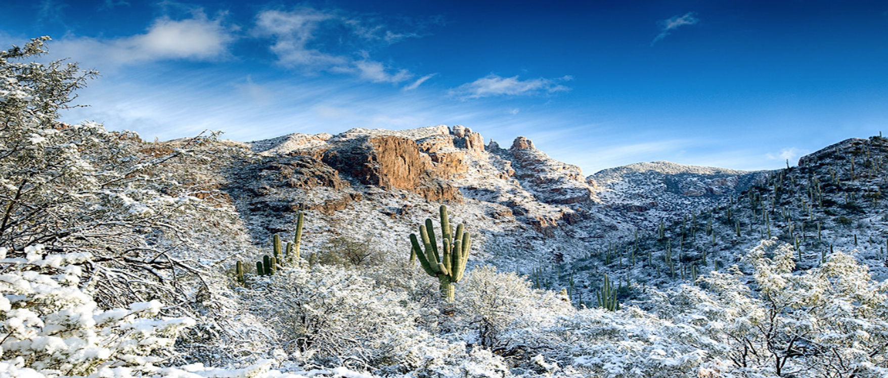 Tucson snow mtns.png