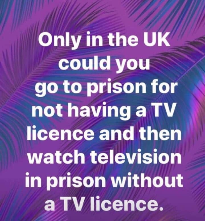 tv.jpg
