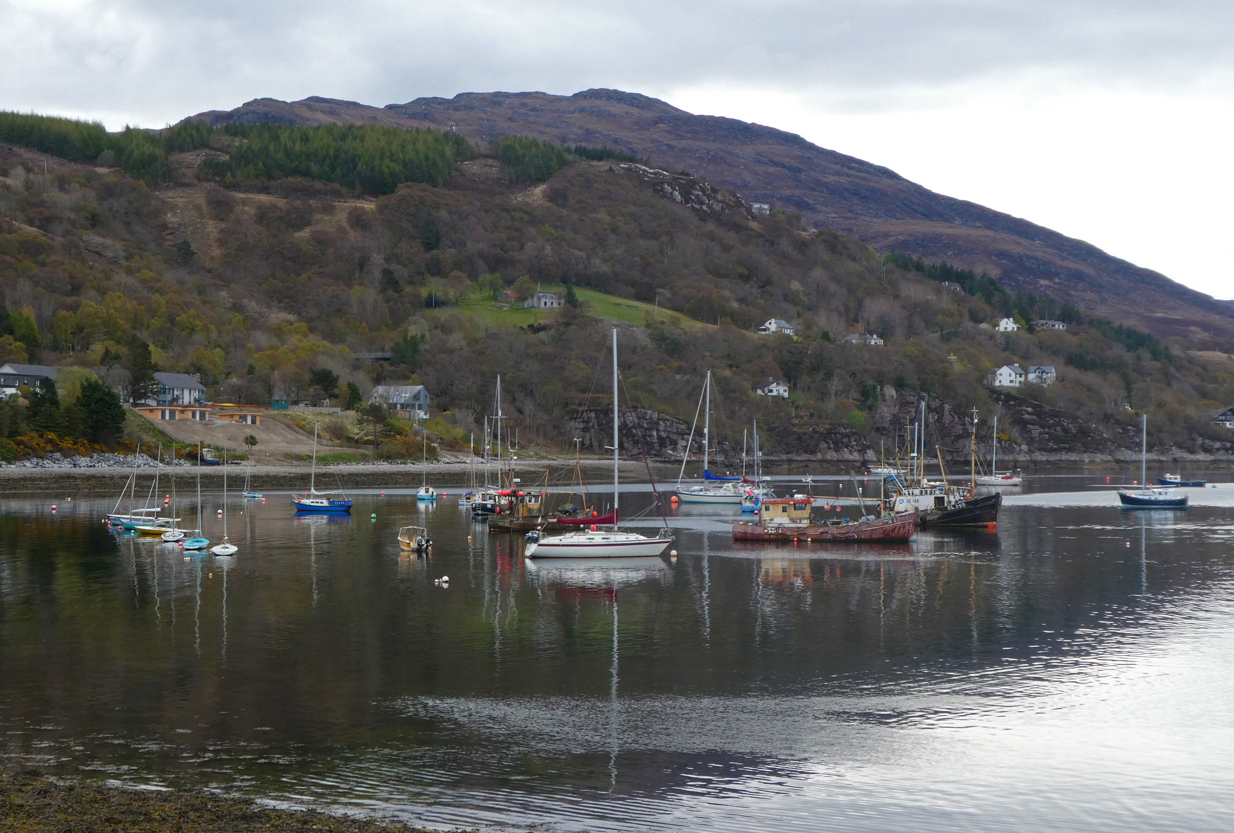 Ullapool Harbour.JPG