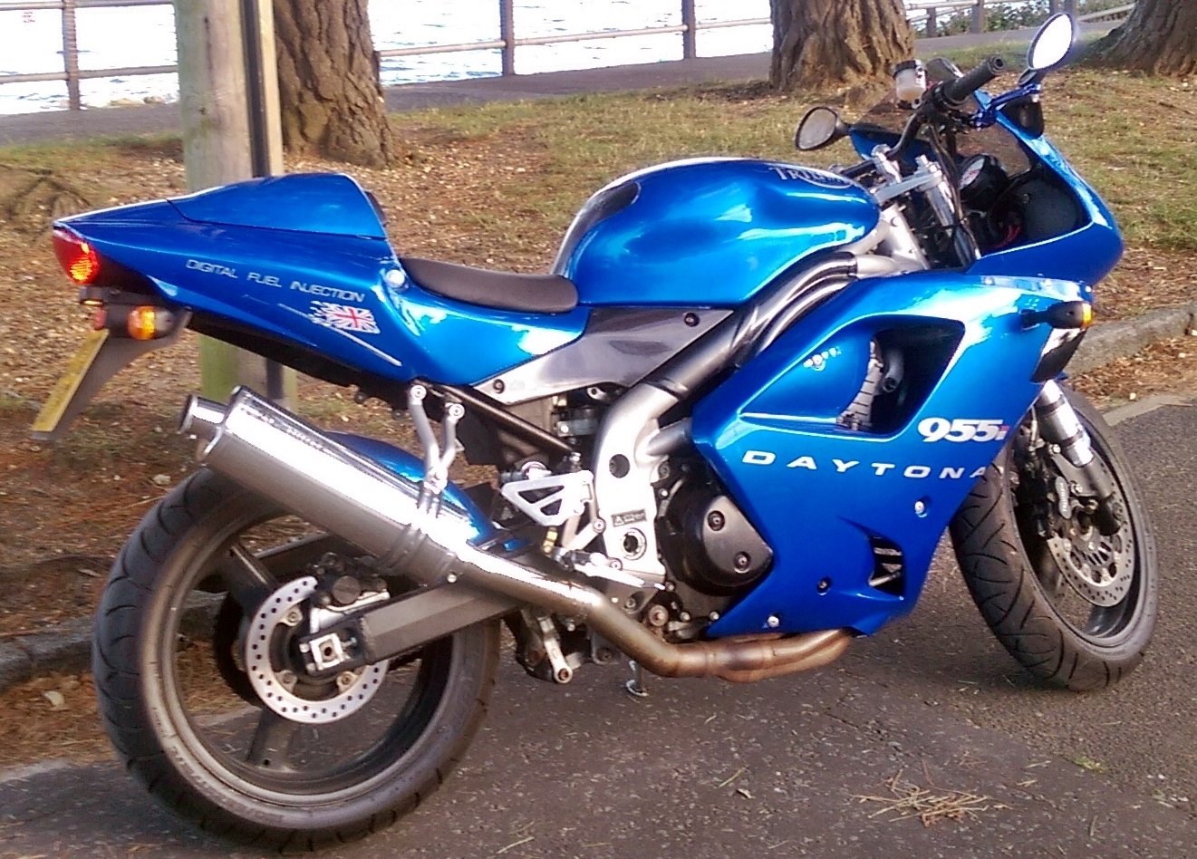 Triumph 2002 Daytona 955i | The Triumph Forum