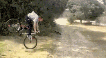upload_2020-12-14_10-25-45.gif