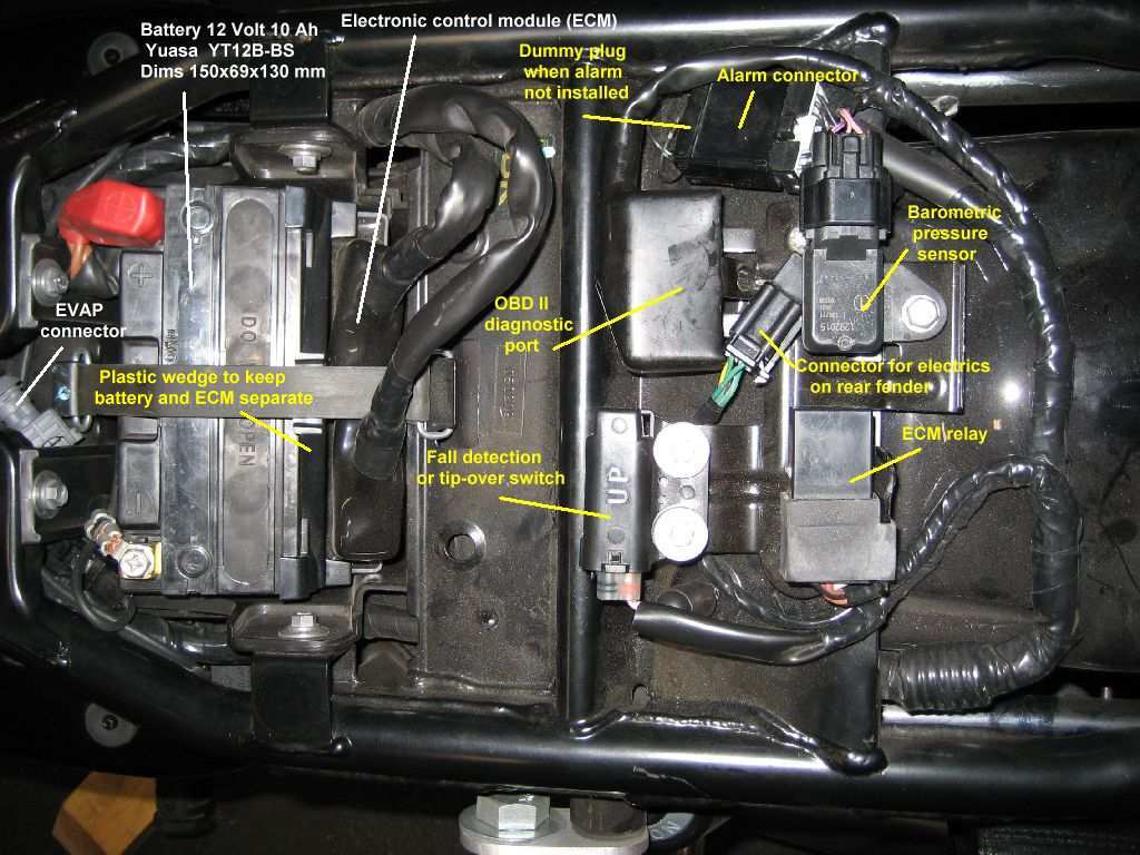 user44601_pic54210_1456898499.jpg
