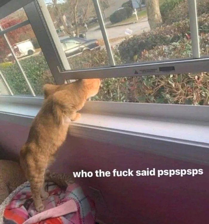 WhoWHO.jpg