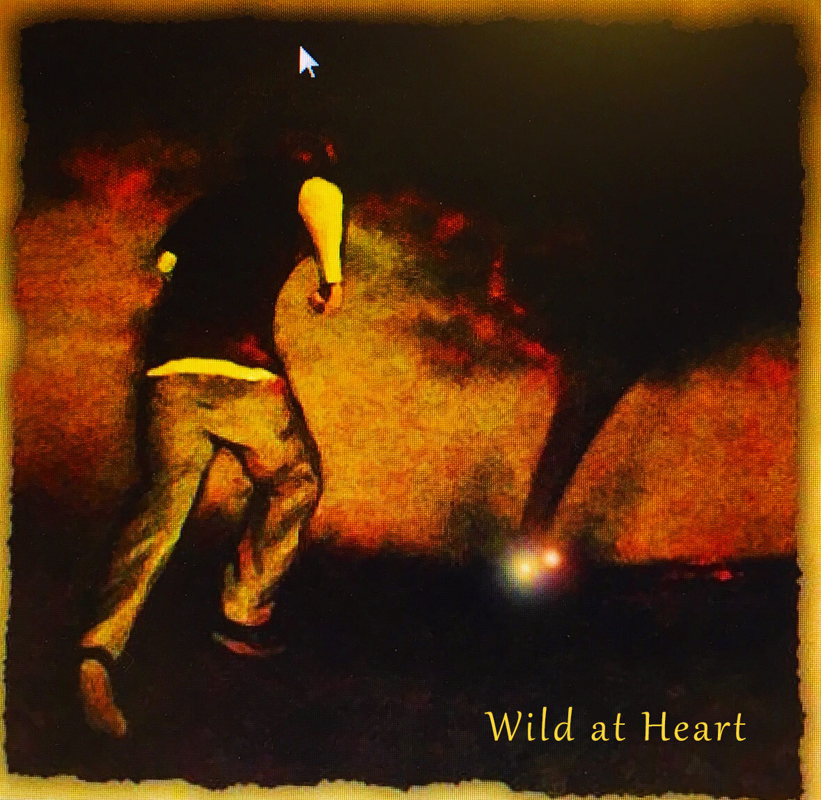 Wild-at-Heart2.jpg