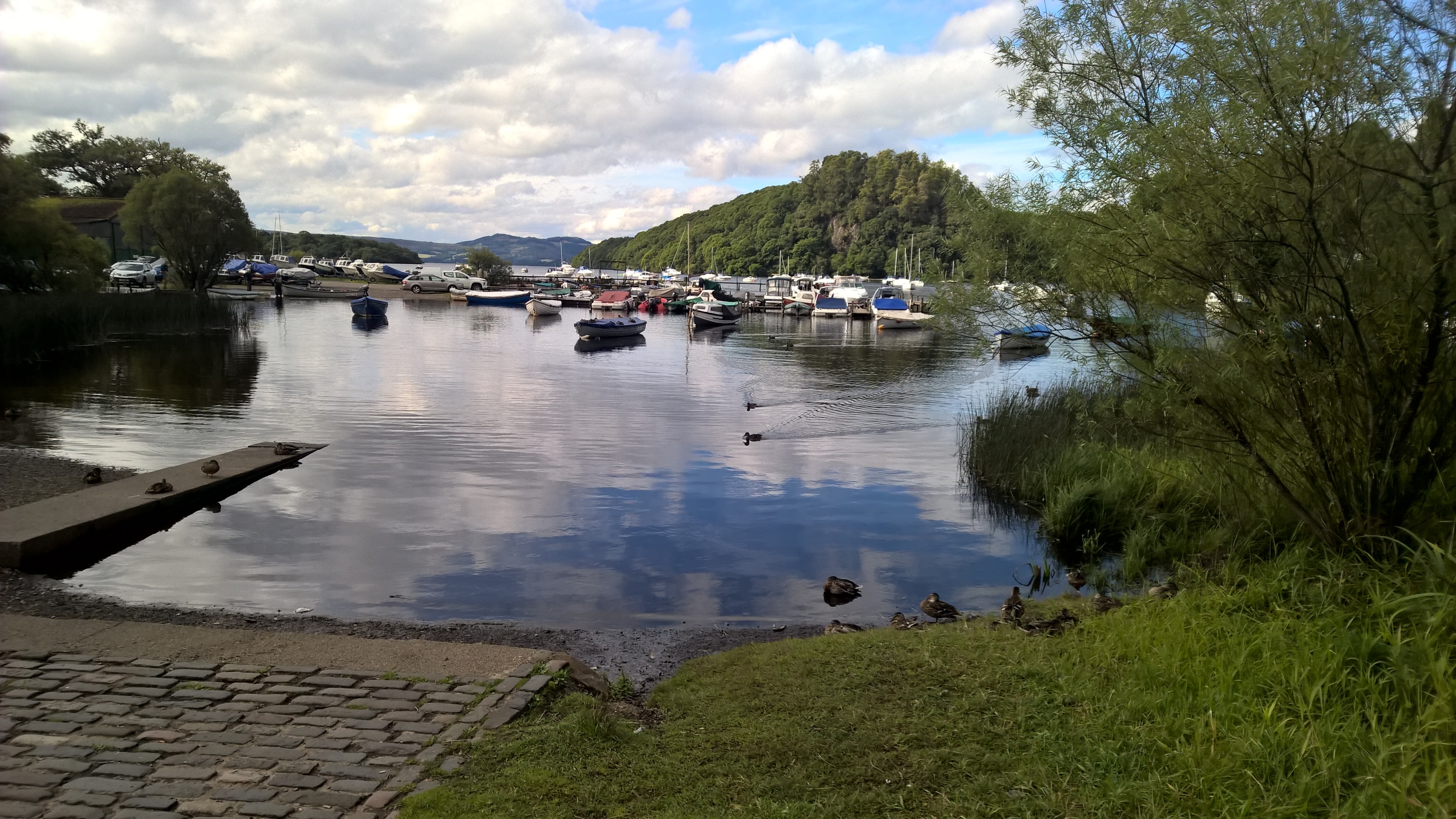 WP_20200828_11_20_03_Pro.jpg