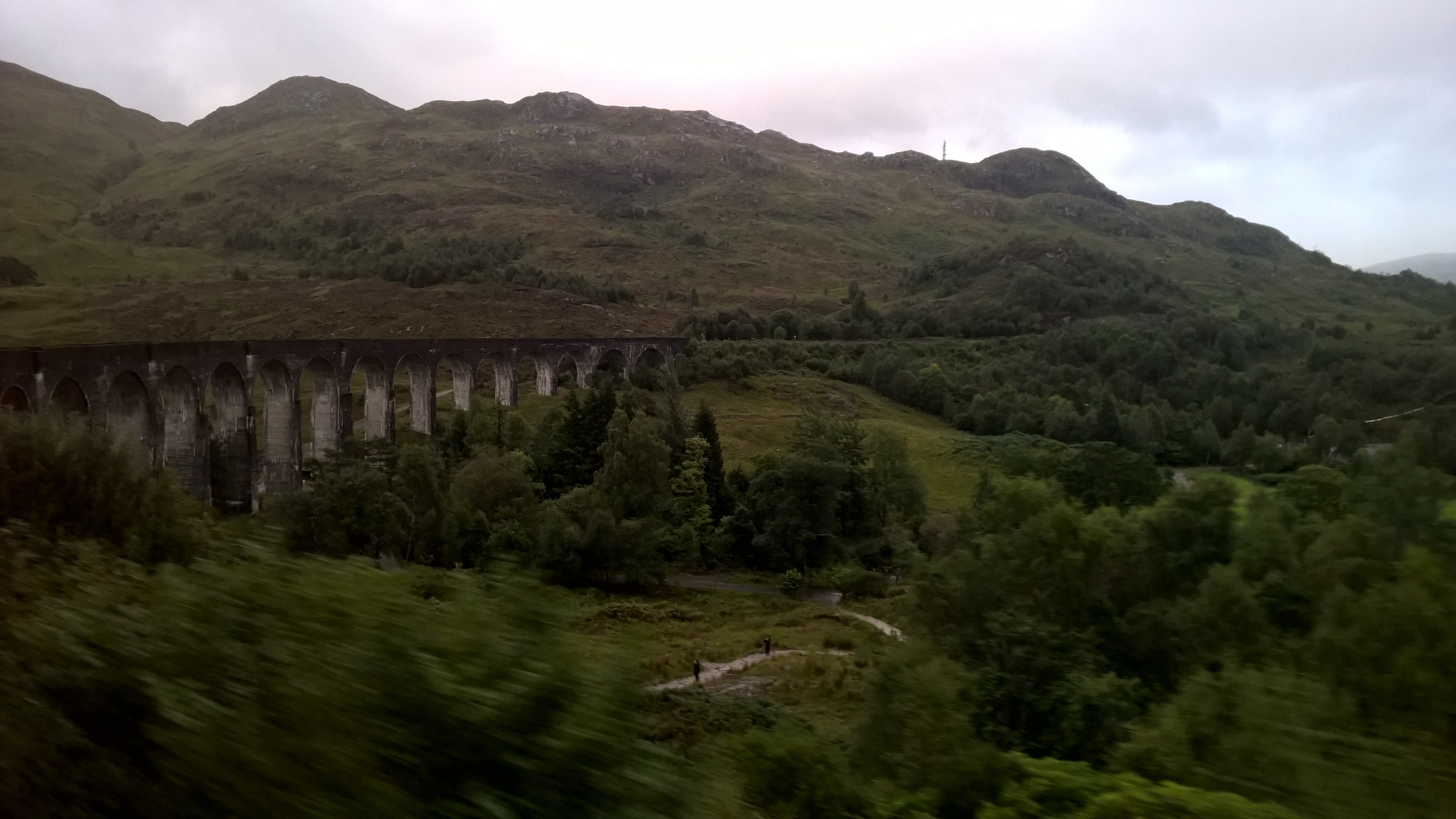 WP_20200902_19_54_28_Pro.jpg