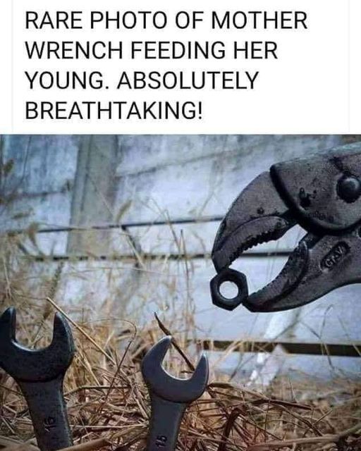 wrench.jpg