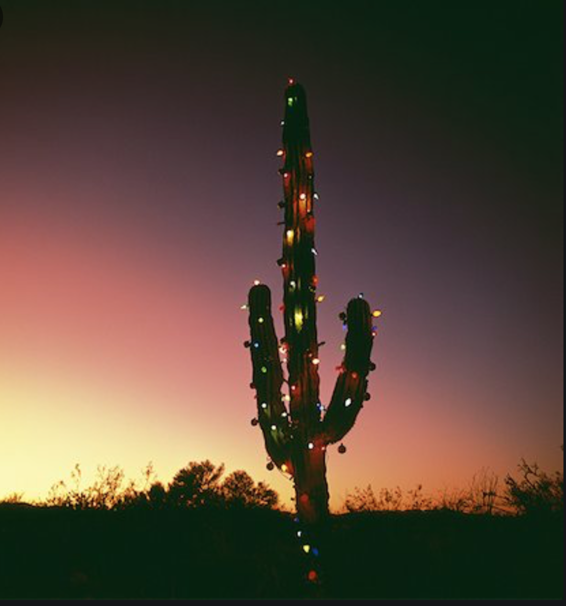 xmas saguaro.png