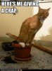 giving a crap.jpg