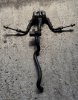 IMG_6238.jpeg