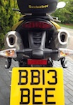 Bumblebee