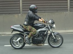 Toad076