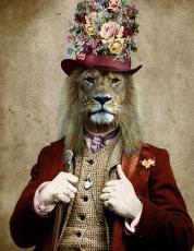 DandyLion