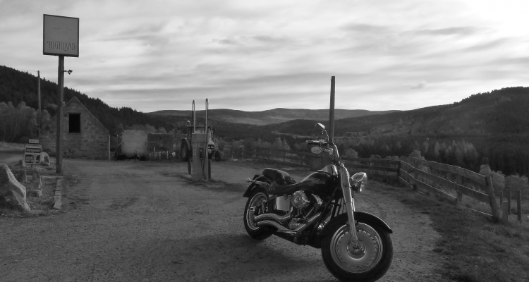 Sometimes You Just Have To Stop For A Photo