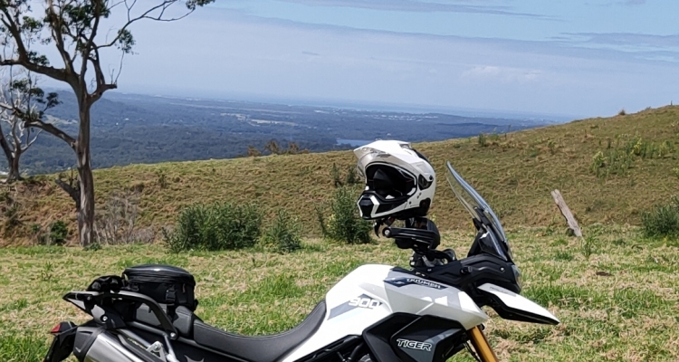 Tiger Sport - Post Your 900 Tiger Photos